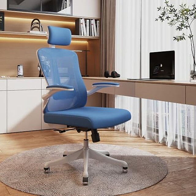 Blue Ergonomic Chairs