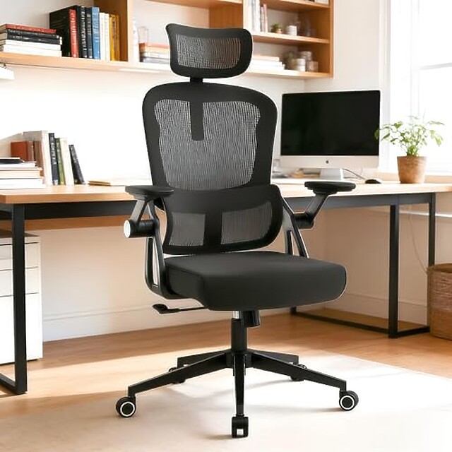 Ergonomic Office Chairs