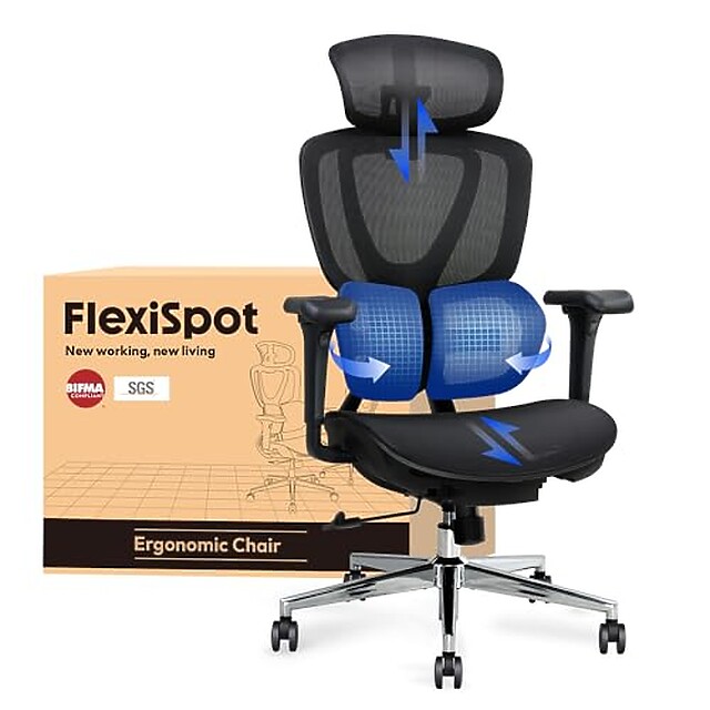 Lumbar Support Chairs